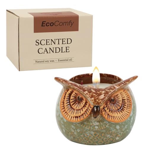 Eulenkerze Geschenk für Frauen, Vanille 350g Duftkerze mit getrockneten Blumen, Weihnachtskerzen-Geschenkset mit 30 Stunden Brenndauer Eulenkerze Geschenk für Frauen, Vanille 350g Duftkerze mit getrockneten Blumen, Weihnachtskerzen-Geschenkset mit 30 Stunden Brenndauer von Dongzhi