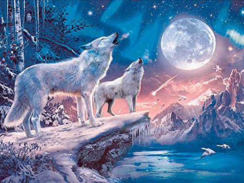 Donnti DIY Diamond Painting Tier Zubehör, 5D Diamant Painting Bilder Mond Wolf Kits, Vollrundbohrkristall Crystal Craft für Home Stickerei Set Kreuzstich Bilder Wall Decoration 30×40cm von Donnti