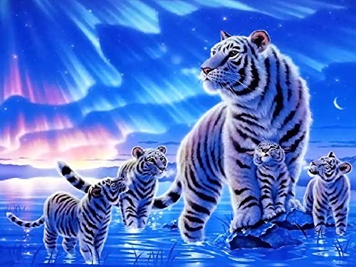 Donnti DIY Diamond Painting Tier Zubehör, 5D Diamant Painting Bilder Tiger Kits, Vollrundbohrkristall Crystal Craft für Home Stickerei Set Kreuzstich Bilder Wall Decoration 30×40cm von Donnti