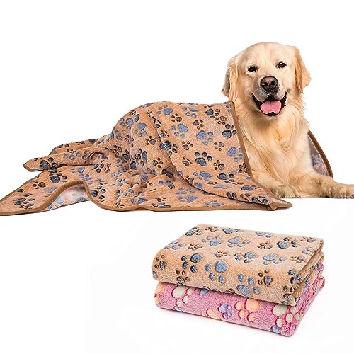 Dono 1 Packung mit 2 Hundedecken, weiche, flauschige Fleece-Haustierdecke, warme Schlafmatte, Pfotenabdruck-Design, Welpen, Kätzchen, Überwurfdecken, Hundedecke für Hunde Dono 1 Packung mit 2 Hundedecken, weiche, flauschige Fleece-Haustierdecke, warme Schlafmatte, Pfotenabdruck-Design, Welpen, Kätzchen, Überwurfdecken, Hundedecke für Hunde von Dono