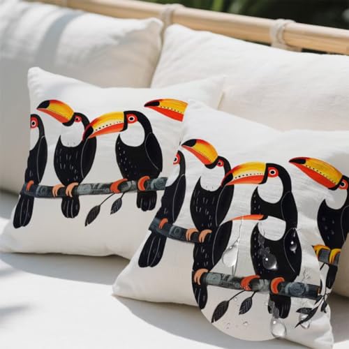 Kissenbezug 50 x 50 cm,Outdoor Kissen Papagei 2er Set Velvet Kissenbezüge,Wetterfest Sofakissen mit Verstecktem Reißverschluss,Zierkissenbezüge Tier Kissenbezug für Couch Balkon Wohnzimmer Deko e695 Kissenbezug 50 x 50 cm,Outdoor Kissen Papagei 2er Set Velvet Kissenbezüge,Wetterfest Sofakissen mit Verstecktem Reißverschluss,Zierkissenbezüge Tier Kissenbezug für Couch Balkon Wohnzimmer Deko e695 von Donpeer