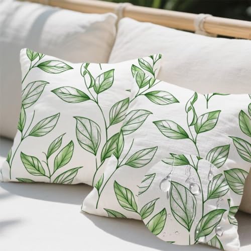 Outdoor Kissen 45x45 cm 2er Set Kissenbezug Eukalyptus Kissen Deko Kissenbezüge Atmungsaktiv Wetterfest, Quadrat Sofakissen Samtstoff Kissenhülle Grün Outdoorkissen für Couch Balkon Garten Deko e700 Outdoor Kissen 45x45 cm 2er Set Kissenbezug Eukalyptus Kissen Deko Kissenbezüge Atmungsaktiv Wetterfest, Quadrat Sofakissen Samtstoff Kissenhülle Grün Outdoorkissen für Couch Balkon Garten Deko e700 von Donpeer