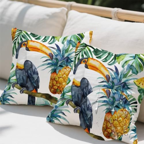 Outdoor Kissen 80x80 cm 2er Set Kissenbezug Papagei Kissen Deko Kissenbezüge Atmungsaktiv Wetterfest, Quadrat Sofakissen Leinen Kissenhülle Ananas Outdoorkissen für Garten Balkon Deko Geschenke e696 Outdoor Kissen 80x80 cm 2er Set Kissenbezug Papagei Kissen Deko Kissenbezüge Atmungsaktiv Wetterfest, Quadrat Sofakissen Leinen Kissenhülle Ananas Outdoorkissen für Garten Balkon Deko Geschenke e696 von Donpeer