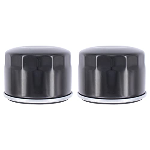 Doo Engy 2 Stück Ölfilter für Briggs & Stratton 492932 492056 492932S John Deere AM-125424 AM125424 GY20577 LG492932S Craftsman 24603 33935 für Kawasaki 49065-7007 49065-7002 von Doo Engy