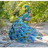 Lebhafter Pfau-Rückenkopf Oder Vorderkopf Im Gartendekor von DoodleAngel123