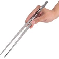 Lange Zange Oder Schere Für Die Pflege Von Terrarien Pflanzenpinzette von DoodleBirdTerrariums