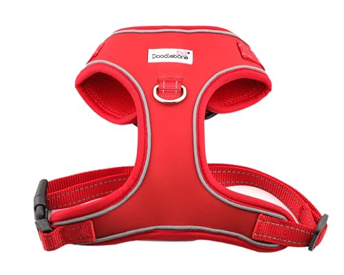 Doodlebone Verstellbares Airmesh, Rubinrot, Größe 37-40 von Doodlebone