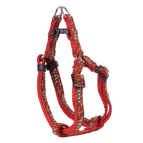 Doogy Ballade Hundegeschirr, Hundegeschirr, Rot/Knochen, 10 mm x 30-45 cm von Doogy