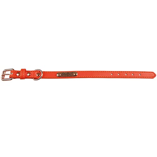 Doogy Hundehalsband, Kunstleder, Sommerdesign, Orange von Doogy