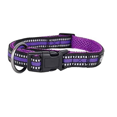 Doogy Sporthalsband Violett TL 37-60cm x 25mm von Doogy