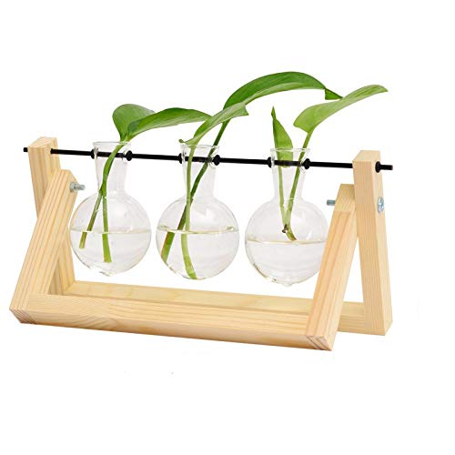 Desktop-Dekorationen, Pflanze Bulb Vase mit Retro-Massivholzständer und Metall rotierenden Rod Holder für Hydrokultur Pflanzen Desktop Glas Pflanzer für Zuhause/Garten/Hochzeit/Dekor, 11"x5.5" von belupai