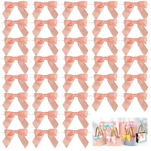 Dooozy 36 Stück 3.5" Satin Schleife, Mini Geschenkschleifen aus Vorgebunden Schleifen Satinband für Geschenk DIY Keks Bonbontüten Weihnachtsbaum Hochzeitsdeko(Champagner Rose) von Dooozy