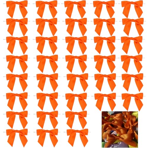 Dooozy 36 Stück 3.5" Satin Schleife, Mini Geschenkschleifen aus Vorgebunden Schleifen Satinband für Geschenk DIY Keks Bonbontüten Weihnachtsbaum Hochzeitsdeko(Orange Farbe) von Dooozy