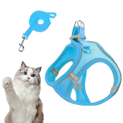 Dopsyesn Geschirr Und Leine Set Für Kleine Hunde - Verstellbares Hundegeschirr Mit Leinen Für Welpen Und Kleine Hunde - Atmungsaktives Reflektierendes Welpen Katzen Geschirr Für Training Auto Reisen von Dopsyesn