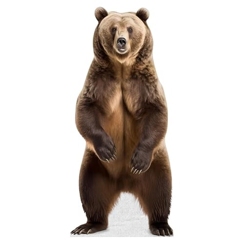 Bär – Lebensgroßer Pappaufsteller zum Aufstellen Menschen mit Stützständer | Tiere -1 Bär – Lebensgroßer Pappaufsteller zum Aufstellen Menschen mit Stützständer | Tiere -1 von DorDor & GorGor