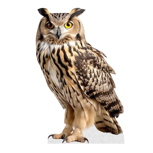 Eule - Lebensgroßer Pappaufsteller Aufsteller Menschen mit Stützständer | Tiere - Eule - Lebensgroßer Pappaufsteller Aufsteller Menschen mit Stützständer | Tiere - von DorDor & GorGor