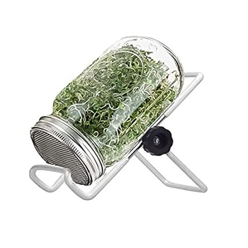 Dorccsi Einmachgläser Keimglas-Set Keimsaat-Set mit Deckelständer zum Anbau von Brokkoli Alfalfa Sojasprossen 500 ml Keimglas Keimset von Dorccsi