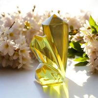 Solaris Andara Crystal-Cluster Mit Verbindung Zur Christusenergie Transformation Aufstiegsprozess 5 Hochschwingend Schöpferkraft von Dorislichtandara