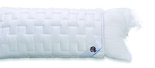 Dormabell Kopfkissen - Active Fresh - 80/80 cm von Dormabell