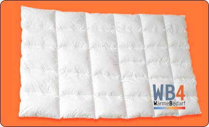 dormabell Zudecke Daunen Edition WB4 WärmeBedarf4 135/200 cm dormabell Zudecke Daunen Edition WB4 WärmeBedarf4 135/200 cm von Dormabell