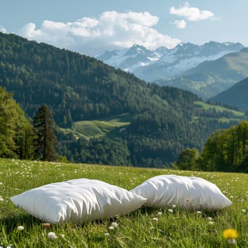 Dormisette Q222 milbendichter Kissenschutzbezug aus Evolon Gr. 80/80 cm Dormisette Q222 milbendichter Kissenschutzbezug aus Evolon Gr. 80/80 cm von Dormisette