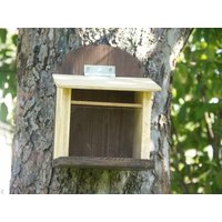 Eichhörnchen Futterkasten Futterhaus Farbe Natur von DortenhofArt