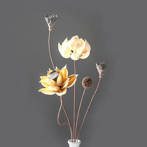Dosenstek Handgefertigte Trockenblumen-Set mit Naturmaterialien | Moderne & Rustikale Dekoration für Zuhause, Büro & Feiern – DIY-Selbstassemblierung, Ikebana GH5000 von Dosenstek