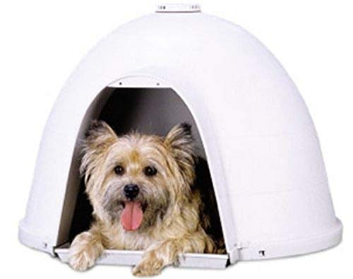 Petmate 291969 Dogloo Xt Medium, 66 x 65 x 47 cm von Doskocil