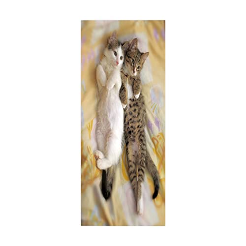 TüRaufkleber TüRtapete Fototapete TüRfolie Selbstklebend 3d Motiv FüR TüRen TüR Bekleben Folie Graue Katze 77 X 200cm(30,31 X 78,7 Zoll) von Dostear