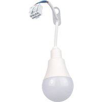 DOTLUX LED-Baustellenfassung mit integriertem Leuchtmittel 12W 4000K VPE (10 Stueck) - 4997-040270VPE von Dotlux