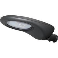 DOTLUX LED-Strassenleuchte BELUGAmini 38W 4000K SKI ohne Mastadapter von Dotlux