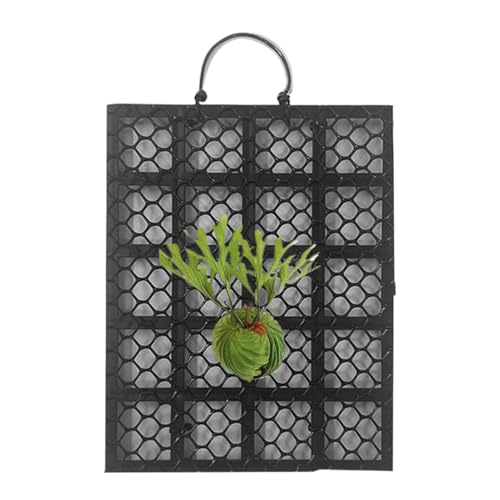 Dottduya Staghorn Farn Wandhalterung - Vertikale Pflanzenhalterung Für Kletterpflanzen Platycerium Orchideen,Orchideen Montage Kletterpflanzen Halterung Für Innen Außen Wohnzimmer Balkon Büro von Dottduya