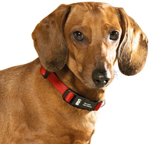 Dog-Ident USB-Hundehalsband, rot, Größe S Dog-Ident USB-Hundehalsband, rot, Größe S von Doubletech
