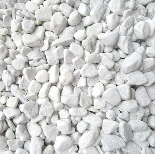 1 Kilogramm (Kg) Deko-Steine | Carrara Marmorkies | 18-25 mm | Edler Zierkies für Haus & Garten | Perfekt für Bodenvasen, Windlichter & Gartenprojekte | Gerundete Natursteine | Vielseitig & stilvoll 1 Kilogramm (Kg) Deko-Steine | Carrara Marmorkies | 18-25 mm | Edler Zierkies für Haus & Garten | Perfekt für Bodenvasen, Windlichter & Gartenprojekte | Gerundete Natursteine | Vielseitig & stilvoll von Doubleyou Geovlies & Baustoffe