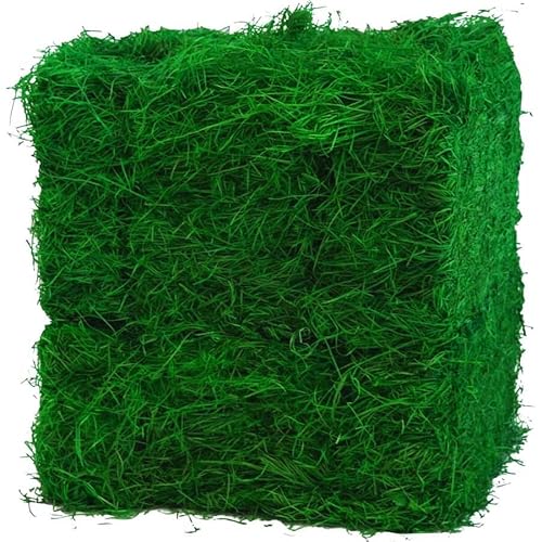 10 Kilogramm (10Kg) Grünes Ostergras | Perfekt für Oster-Deko | Holzwolle 100% gefärbt | Ideal als Füllmaterial oder zur Dekoration | In Deutschland hergestellt von Doubleyou Geovlies & Baustoffe