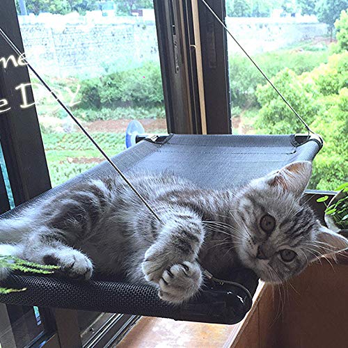 Fensterplätze Für Katzen Max 30 Kg Katze Bett Aalen Fenster Hängematte Barsch Kissen Bett Hängen Regal Sitz Katzenspielzeug Für Katzen von Doumadup