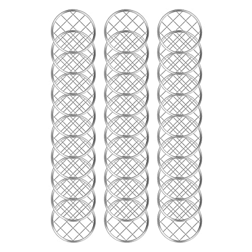 Doumneou 30 StüCk Blumen Einmachglas Blumen Deckel Blumen Vase Einsatz Konserven Einmachglas Einsatz Einmachglas Deckel mit Quadratischem Gitter,70Mm von Doumneou