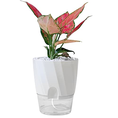 Dous Selbstbewässernde Töpfe für Zimmerpflanzen | Blumentopf,Blumentöpfe, automatische Bewässerungsblumentöpfe, runde Pflanze Hydrokultur für drinnen und draußen von Dous