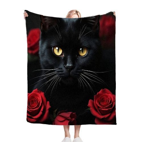 Dozrmey Kuscheldecke Flauschig 200x220 cm Schwarze Katze, 3D Mikrofaser Flanell Schmusedecke Wohndecke Couchdecke Tagesdecke für Wohnzimmer, Schlafzimmer, Camping, Picknick C2 von Dozrmey