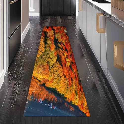 Dppyuxa Teppich Läufer Landschaft Herbst Waschbar & rutschfest, Küchenteppich für Küche, Flur Natur Wald Flurteppich Lang Herbst Ahorn Küchenläufer Schmutzabweisend 80x200 cm von Dppyuxa