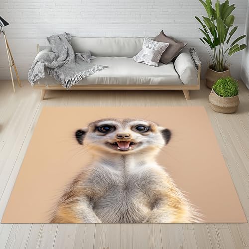 Dpvbffx Erdmännchen Fußmatte 60x90 cm, Wilde Tiere Teppich Klein rutschfest, Nette Tier Thema Waschbarer Teppich Kurzflor Weich, Teppiche Gegend Schmutzfangmatte fur Innen Outdoor Eingang von Dpvbffx