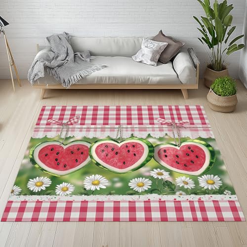 Dpvbffx Herz Wassermelone Teppich rutschfest, Gänseblümchen Rote Gingham Teppich Wohnzimmer 100x150 cm, Landhausstil Büffelkaro Teppiche Kurzflor Waschbare fur Schlafzimmer Badezimmer Kinderzimmer von Dpvbffx