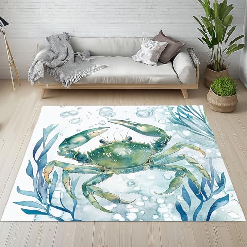 Dpvbffx Küste Krebs Fußmatte 50x80 cm, Nautische Meeresmotiv Teppich Klein rutschfest, Aquarell Meerestier Teppich Kurzflor, Waschbarer Teppiche Gegend Schmutzfangmatte fur Innen Outdoor Eingang von Dpvbffx