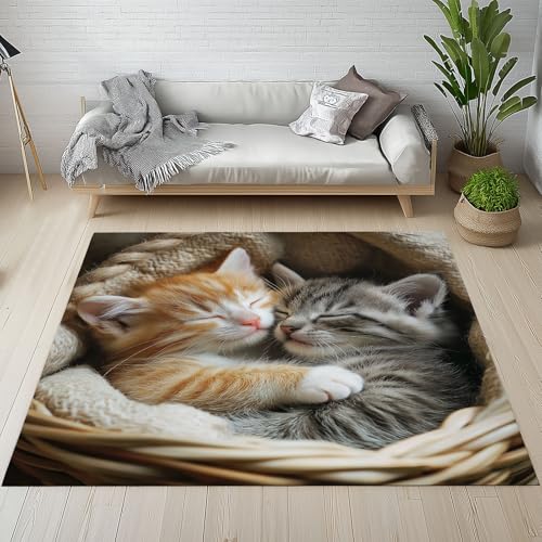 Dpvbffx Niedlich Kätzchen Teppich rutschfest Weich, Haustier Katzenmotiv Teppich Wohnzimmer 80x150 cm, Nette Tier Teppiche Kurzflor Waschbare fur Schlafzimmer Badezimmer Kinderzimmer Dpvbffx Niedlich Kätzchen Teppich rutschfest Weich, Haustier Katzenmotiv Teppich Wohnzimmer 80x150 cm, Nette Tier Teppiche Kurzflor Waschbare fur Schlafzimmer Badezimmer Kinderzimmer von Dpvbffx
