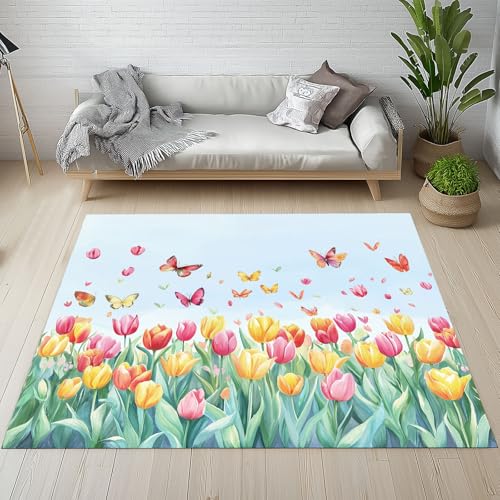 Dpvbffx Pflanzenmuster Fußmatte 40x60 cm, Bunt Schmetterling Blumen Teppich Klein rutschfest, Frühling Insekten Floral Teppich Kurzflor, Teppiche Gegend Schmutzfangmatte fur Innen Outdoor Eingang von Dpvbffx