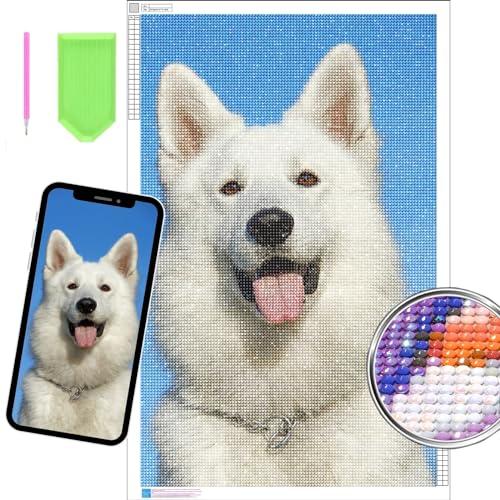 Dr Custom 5D Diamond Painting Personalisiertes Foto, Selbst Gestaltung mit Ihrem Bild, Anpassbares Design-Set für Erwachsene zur Heimdekoration Dr Custom 5D Diamond Painting Personalisiertes Foto, Selbst Gestaltung mit Ihrem Bild, Anpassbares Design-Set für Erwachsene zur Heimdekoration von Dr Custom