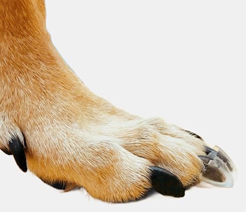 Dr. McHenrys Krallenkappen für Hunde 24er Set mit Kleber und Reinigungsbürste, mehr Halt und Stabilität auf rutschigen Böden, Größe M für 7–18 kg Gewicht von Dr. McHenry's Dog Toe Treads