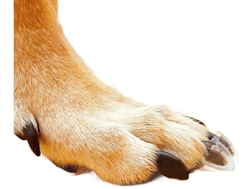 Dr. McHenrys Krallenkappen für Hunde 24er Set mit Kleber und Reinigungsbürste, mehr Halt und Stabilität auf rutschigen Böden, Größe XL für 27–68 kg Gewicht von Dr. McHenry's Dog Toe Treads