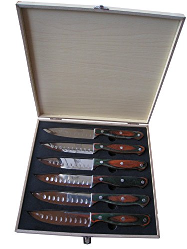 Dr. Richter Steakmesser Texas XXL 6er-Set in Holzbox - schneidet problemlos auch die dicksten Steaks. Neues Modell - spiegelglanzpoliert von Dr. Richter