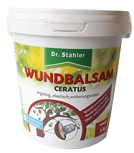 Dr. Stähler Ceratus Wundbalsam, 1 kg von Dr. Stähler